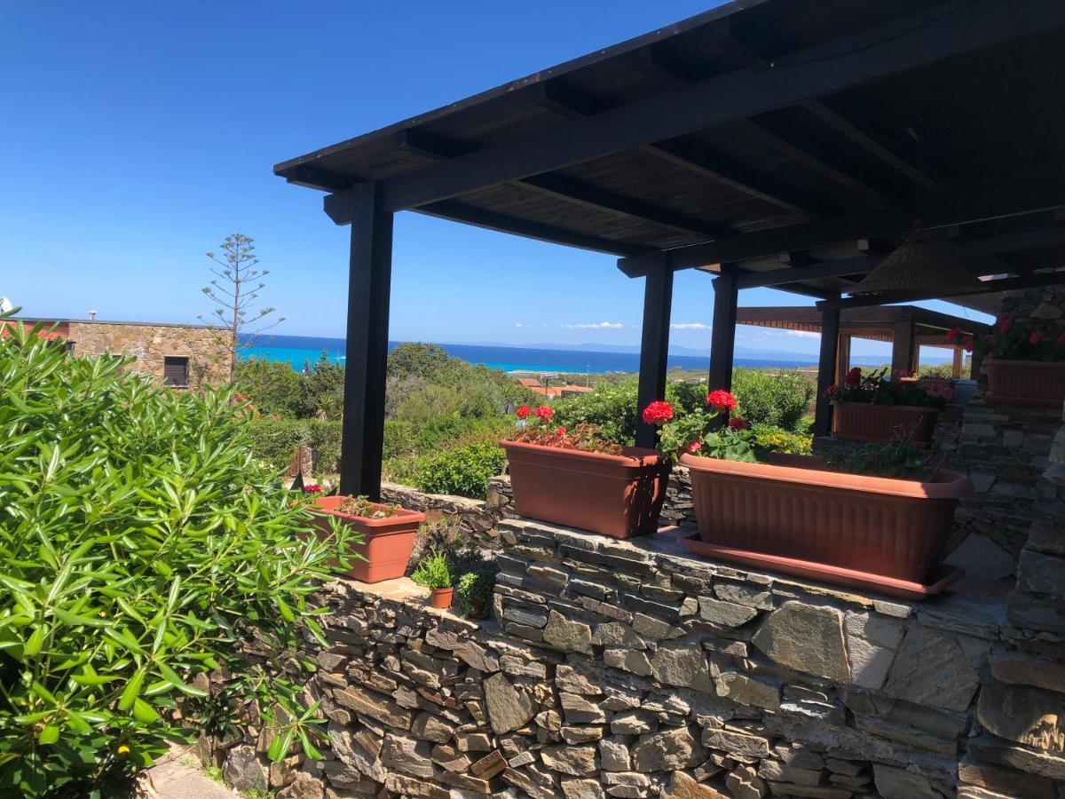 Ferienwohnung Conchiglia Di Stintino Vista Mare Exterior foto